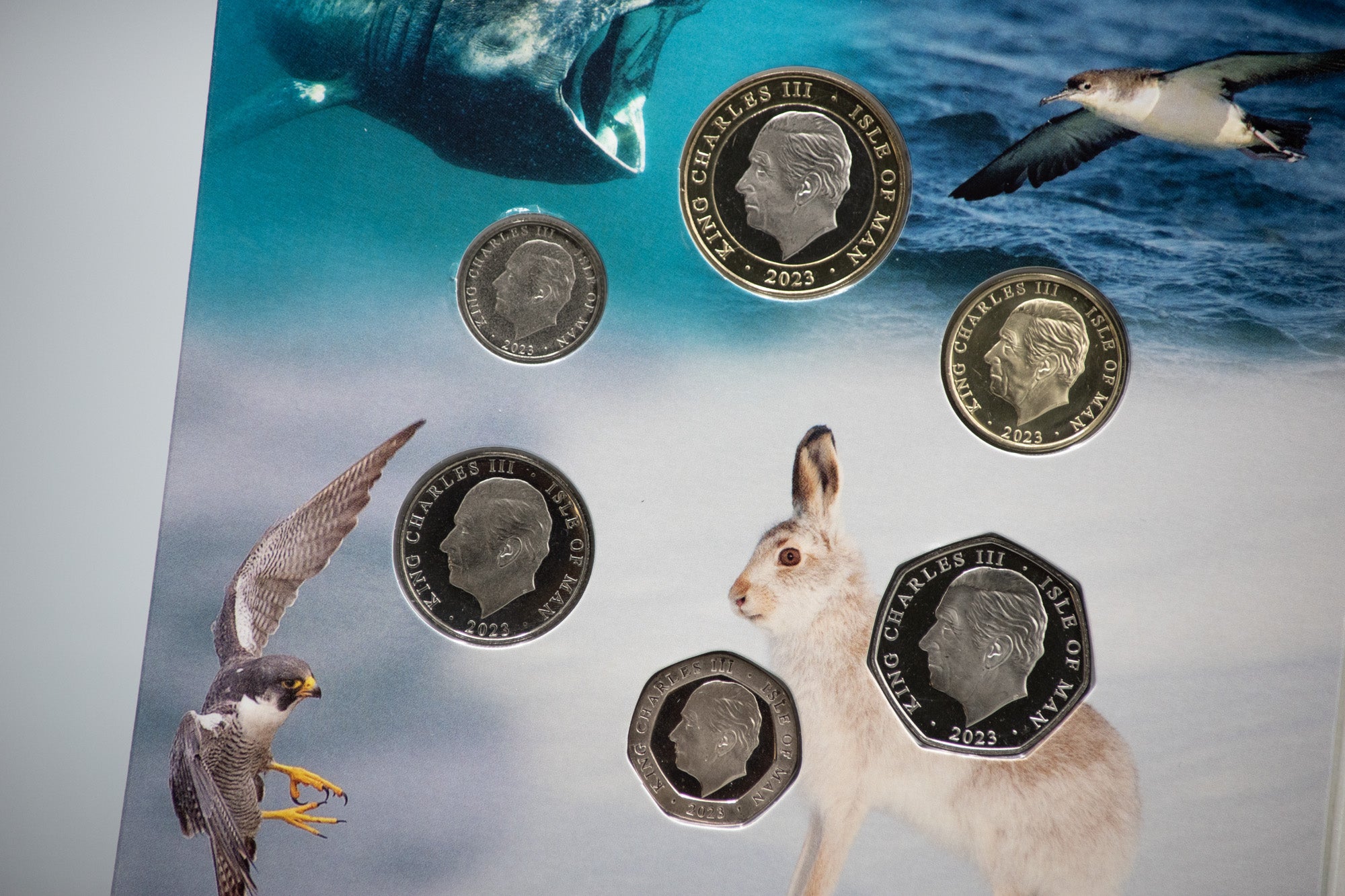 The 2023 Manx Wildlife Trust 50th Anniversary Coin Collection