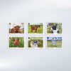 Manx Farm Animals Set